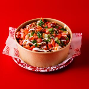 Fully Loaded Dirty Fries